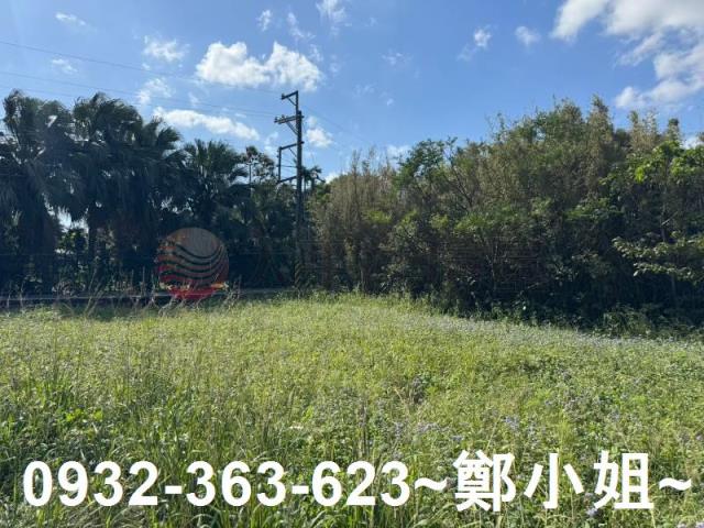 桃園大園農地-11