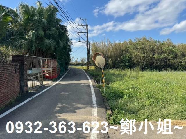 桃園大園農地-2