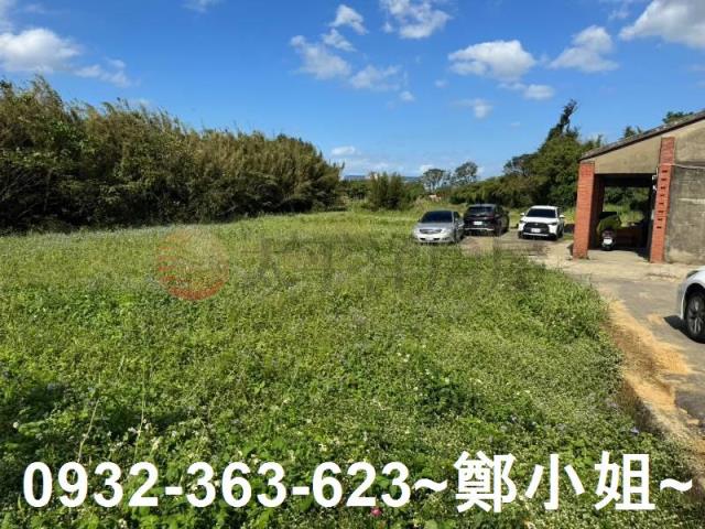 桃園大園農地-3