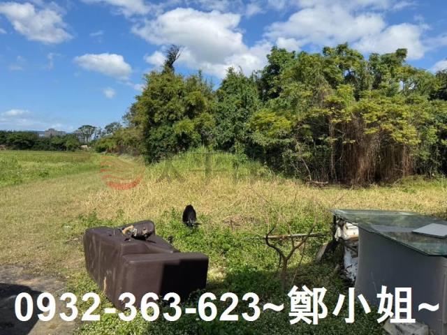 桃園大園農地-6