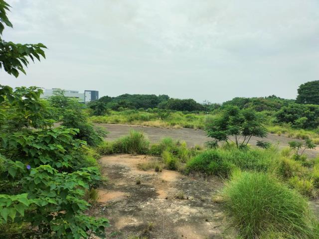 台中后里工業地-1