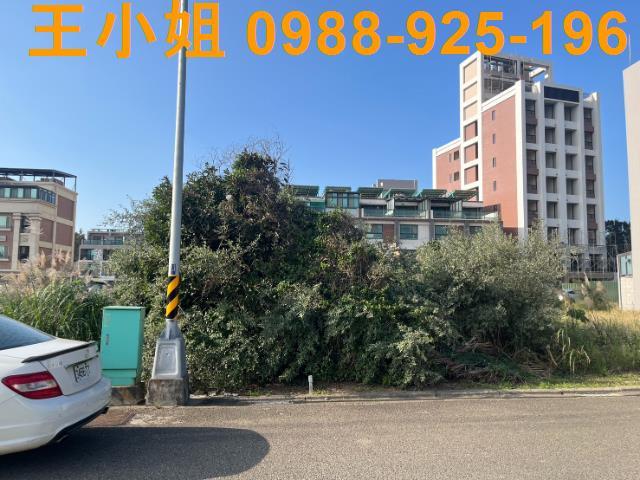 桃園觀音工業地-5