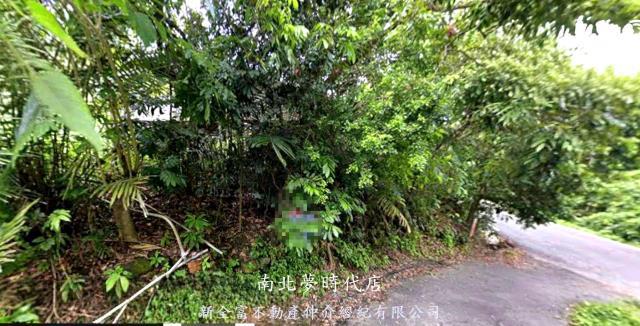 林園王公路上面寬8米建地