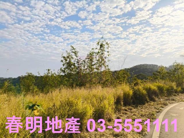 橫山市區平坦美農地