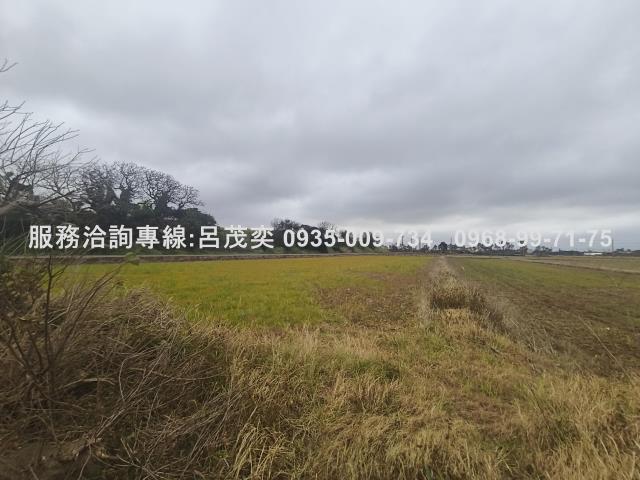 觀音農地-3
