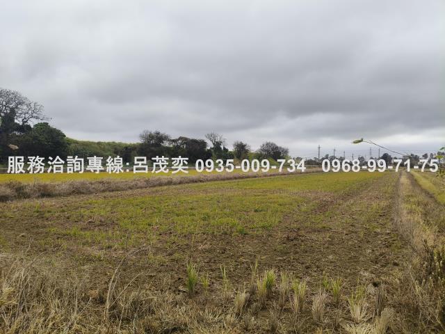 觀音農地-6