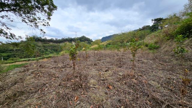 新竹農地新竹山坡地新竹休閒地新竹景觀地小坪數農地露