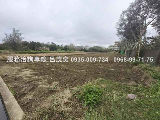 新屋農地-5