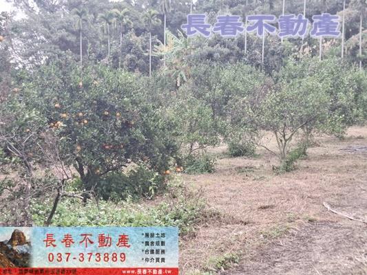 8D155南湖農牧用地