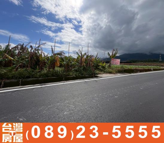 台東鹿野農地-5