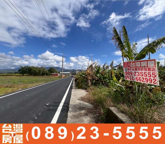 台東鹿野農地-8