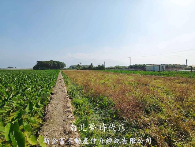 屏東高樹農地-7