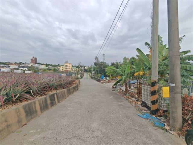 大樹農地-9