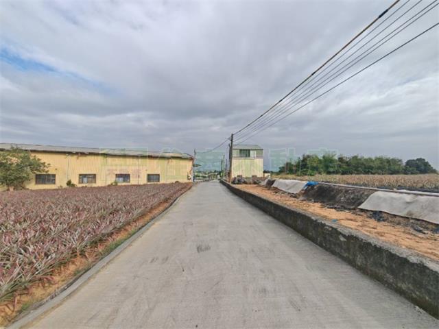 大樹農地-1