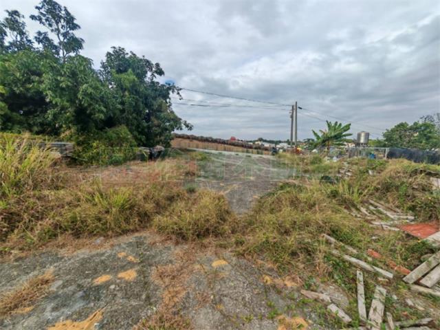 大樹農地-6