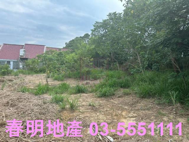 香山林地-0