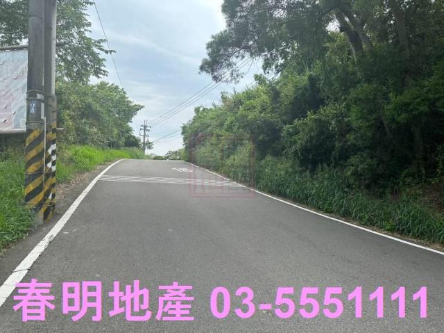 香山林地-6
