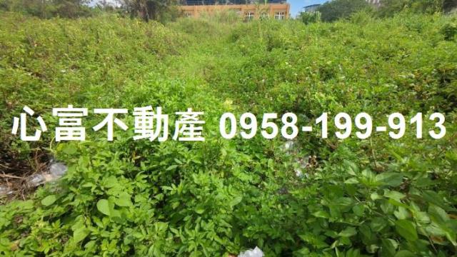 麻豆工業地-0
