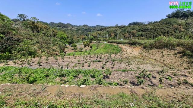 北埔農地-10