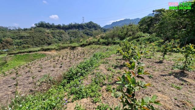北埔農地-4