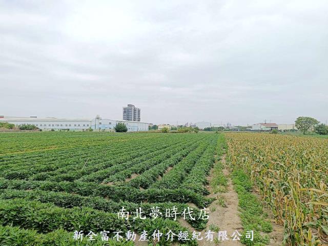 台南農地-3