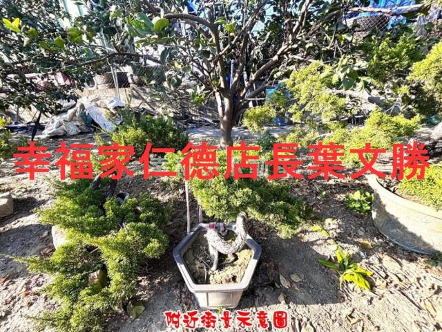 台南麻豆農地-3