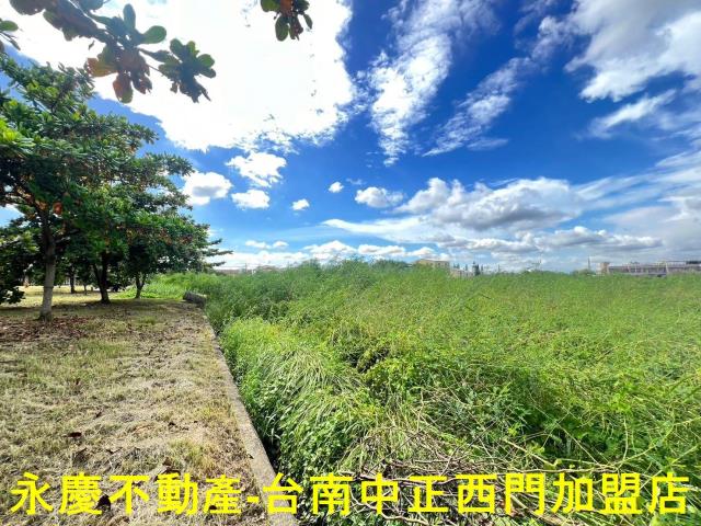 新市農地-1