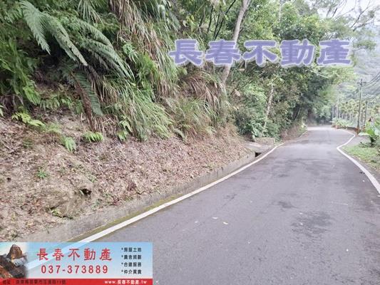 獅潭林地-1