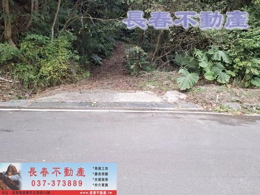 獅潭林地-2
