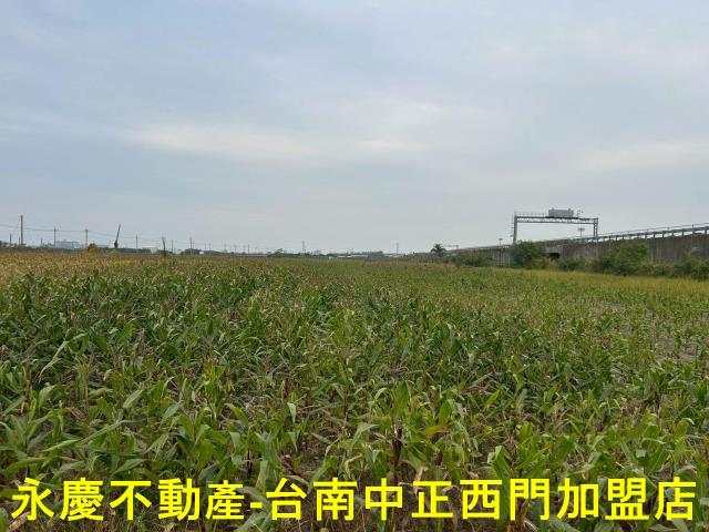 麻豆農地-9