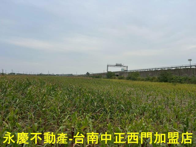麻豆農地-10