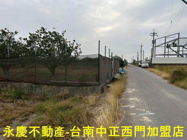 麻豆農地-11