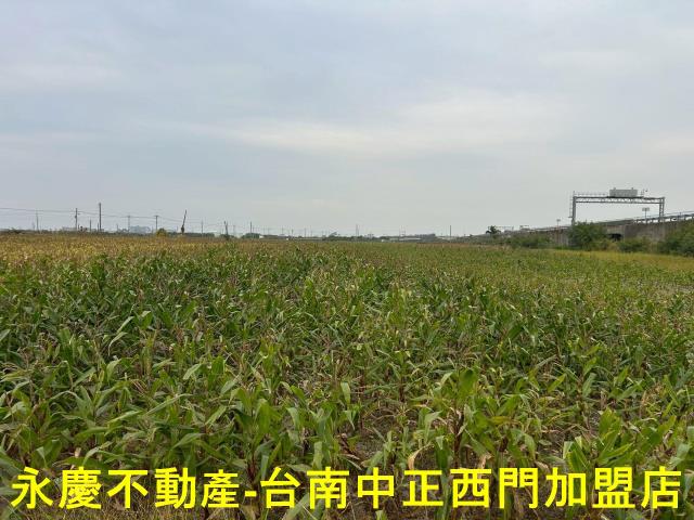 麻豆農地-1