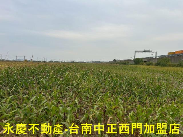 麻豆農地-2