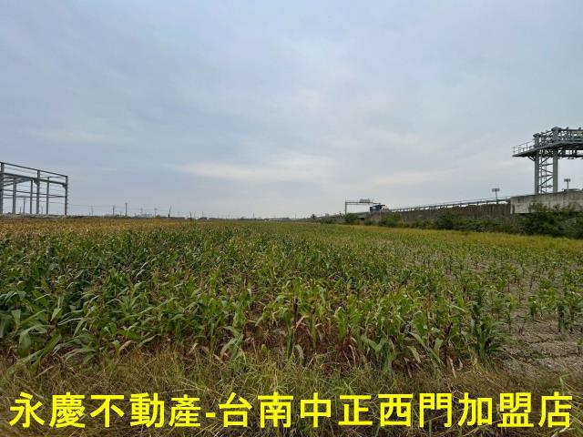 麻豆農地-3