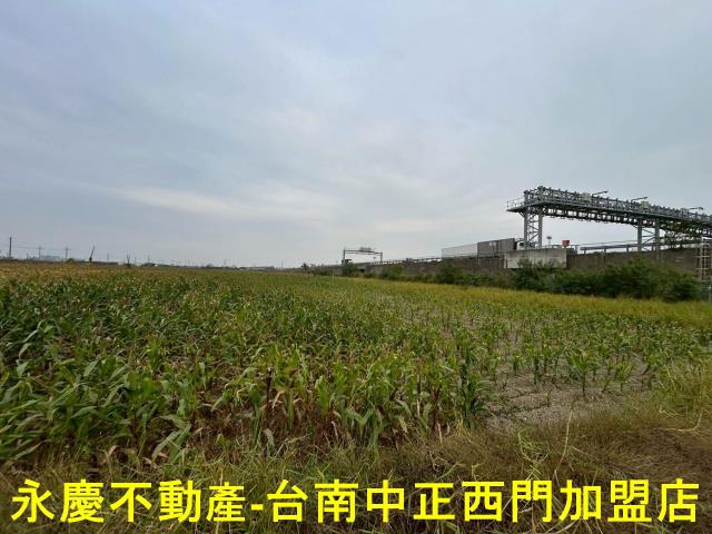 麻豆農地-4