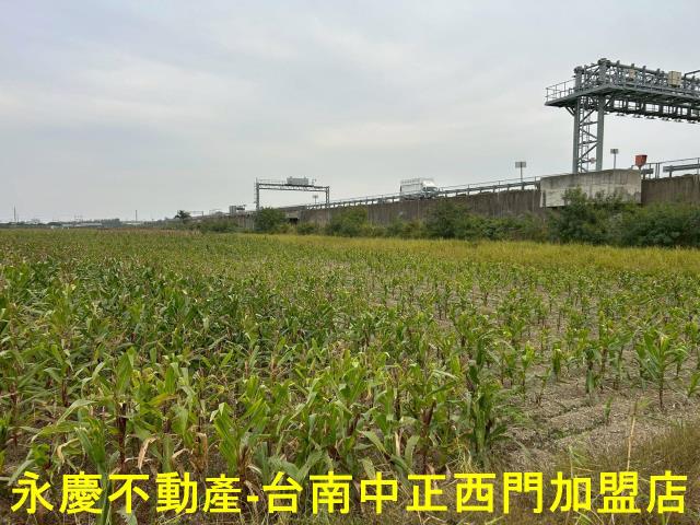 麻豆農地-5