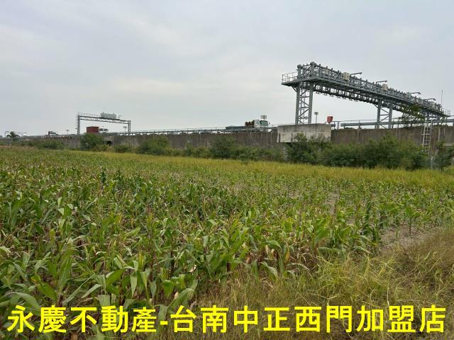 麻豆農地-7