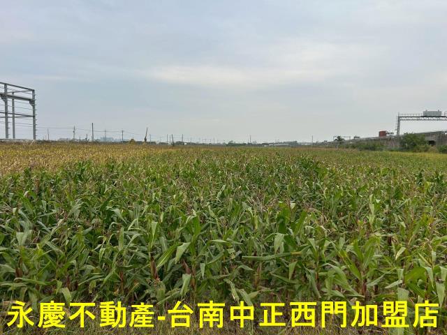 麻豆農地-8