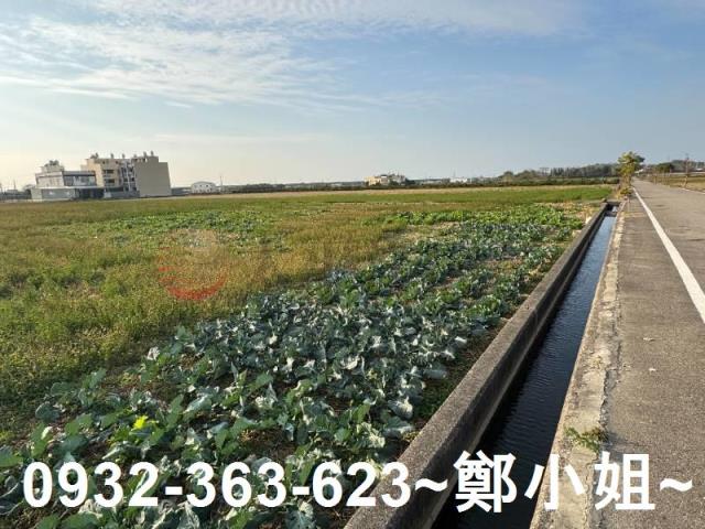 苑裡農地-9