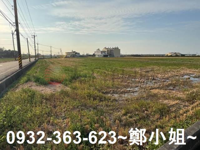 苑裡農地-3