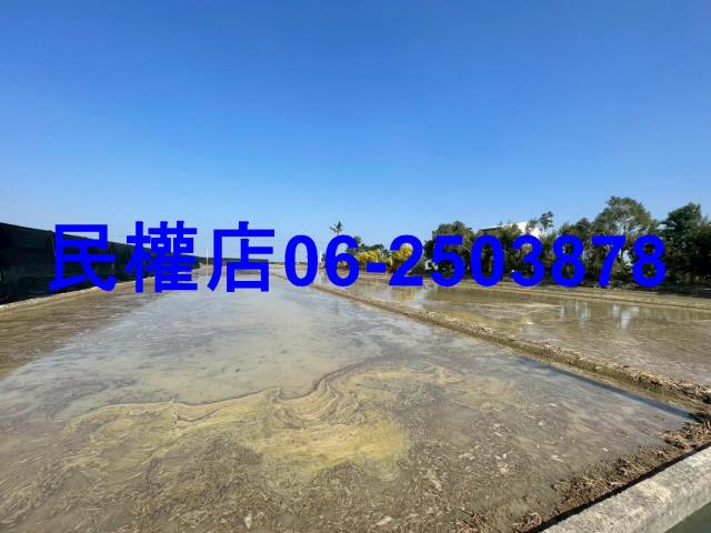 台南農地-7