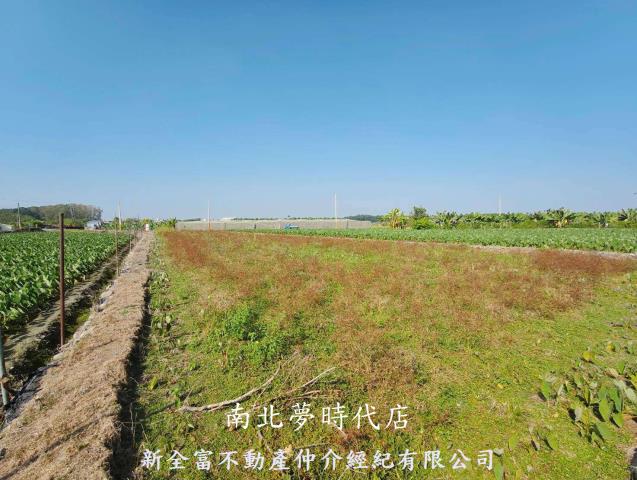 屏東農地-2