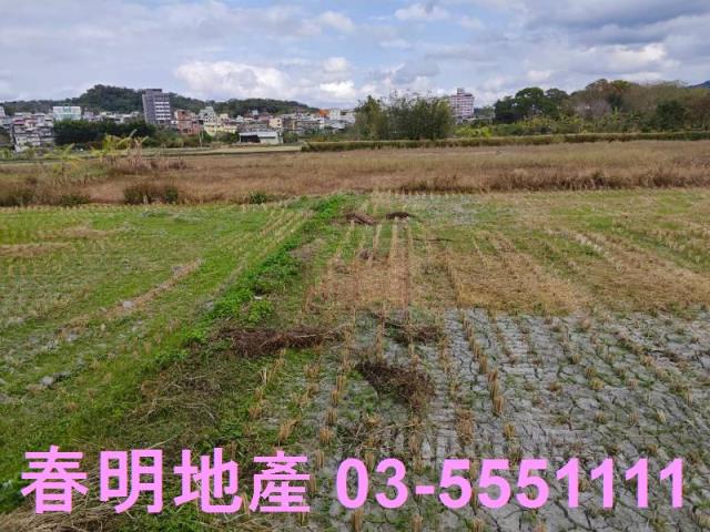 新竹農地-3