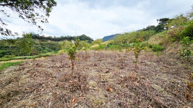 新竹北埔農地-12