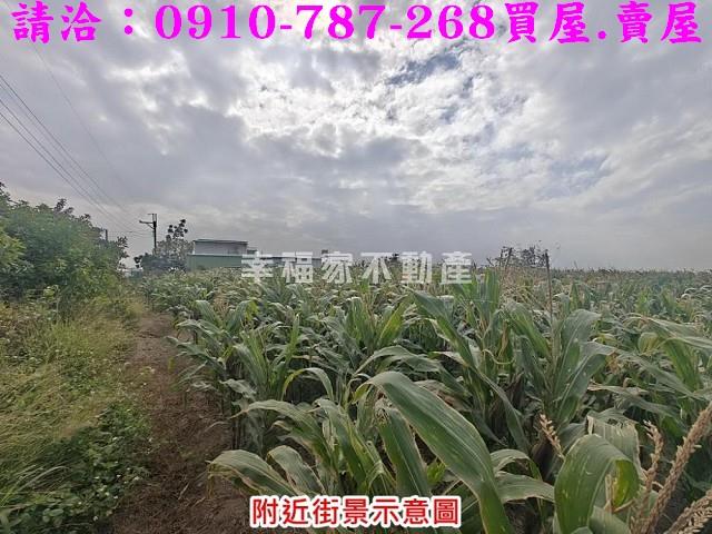 台南佳里農地-10