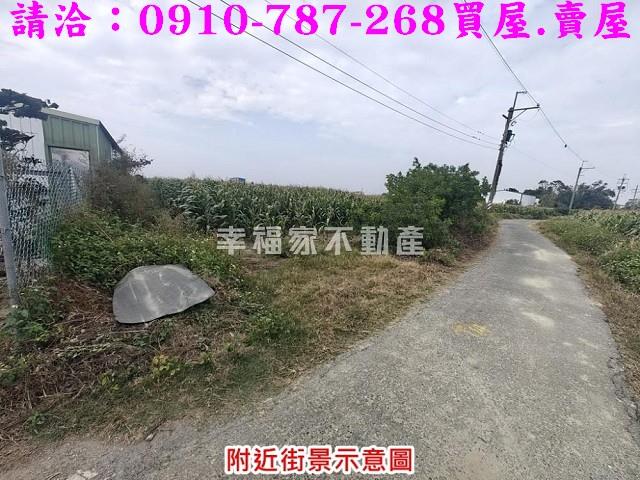 台南佳里農地-3