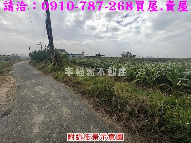 台南佳里農地-6