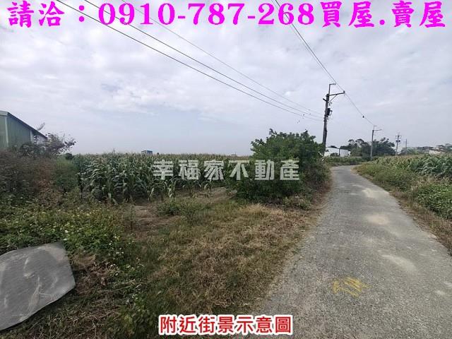 台南佳里農地-8