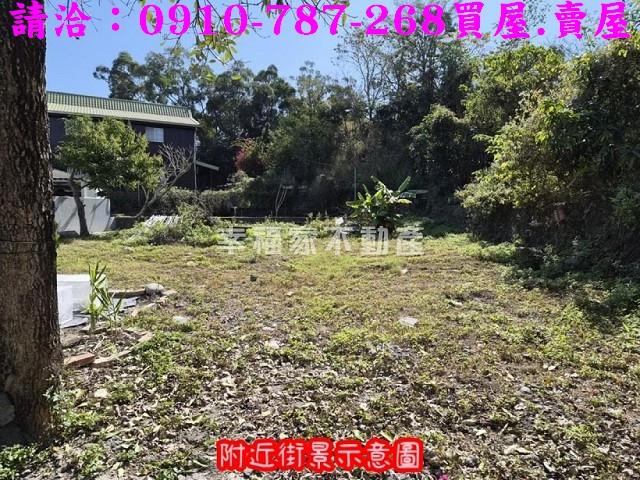 高雄仁武農地-6